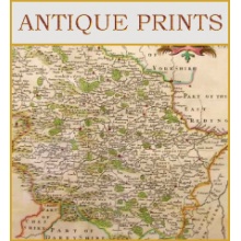 antique-prints--graphic-2022