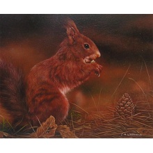 carl_whitfield_red_squirrel_zoom