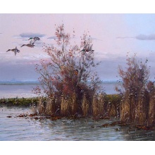 ducks_in_flight_van_der_veld_zoom