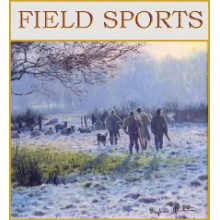 field-sports2--graphic-2022