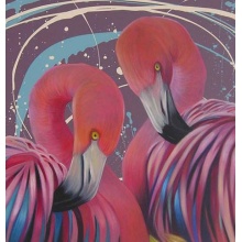 flamingos_simon_wright_zoom