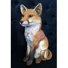 fox_859791233