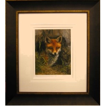 fox_cub_carl_whitfield