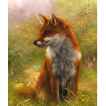 fox_in_woodland_zoom