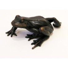 frog_bronze