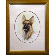 german_shepherd