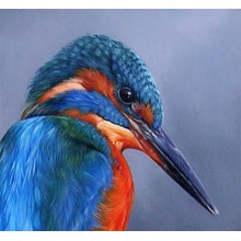 kingfisher_zoom2