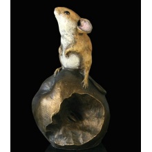 mouse_on_top_of_a_crab_apple