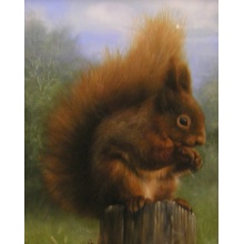 red_squirrel_in_woodland_carl_whitfield_zoom