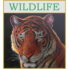 wildlife--graphic-2022_1796686765