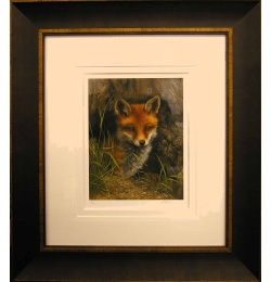 fox_cub_carl_whitfield