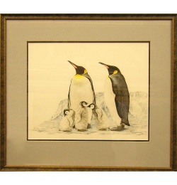 penguins