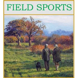 field-sports--graphic-2022-july-2022
