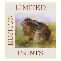 limited-edition-prints--graphic-2022