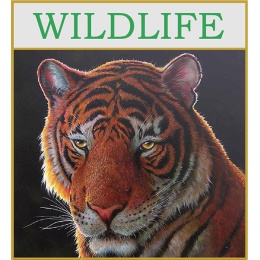 wildlife--graphic-2022_1796686765