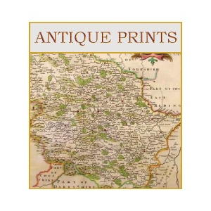antique-prints--graphic-2022