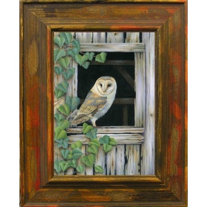 barn_owl_john_morris_870893001