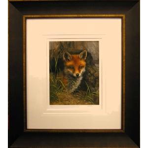 fox_cub_carl_whitfield