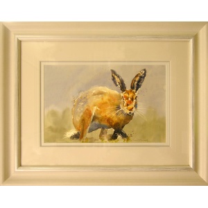 hare_fnl