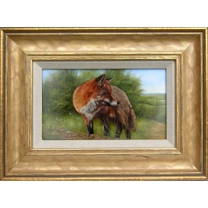whitfield_fox