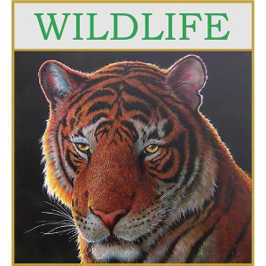 wildlife--graphic-2022_1796686765