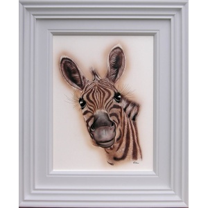 zebra
