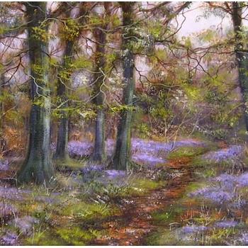 bluebell_wood_zoom