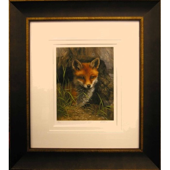 fox_cub_carl_whitfield