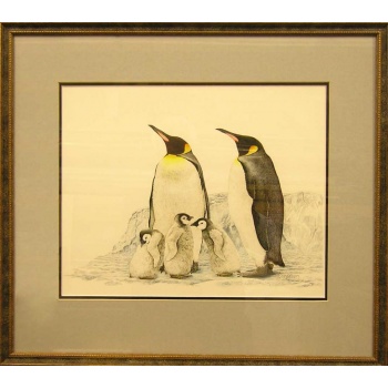 penguins