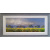 alan_morgan_change_in_weather
